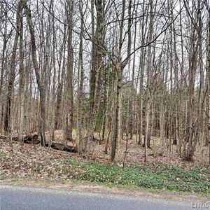 Steam Mill Rd Lot 9, Camden, NY, 13316