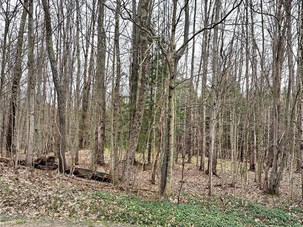 Steam Mill Rd Lot 9, Camden, NY 13316