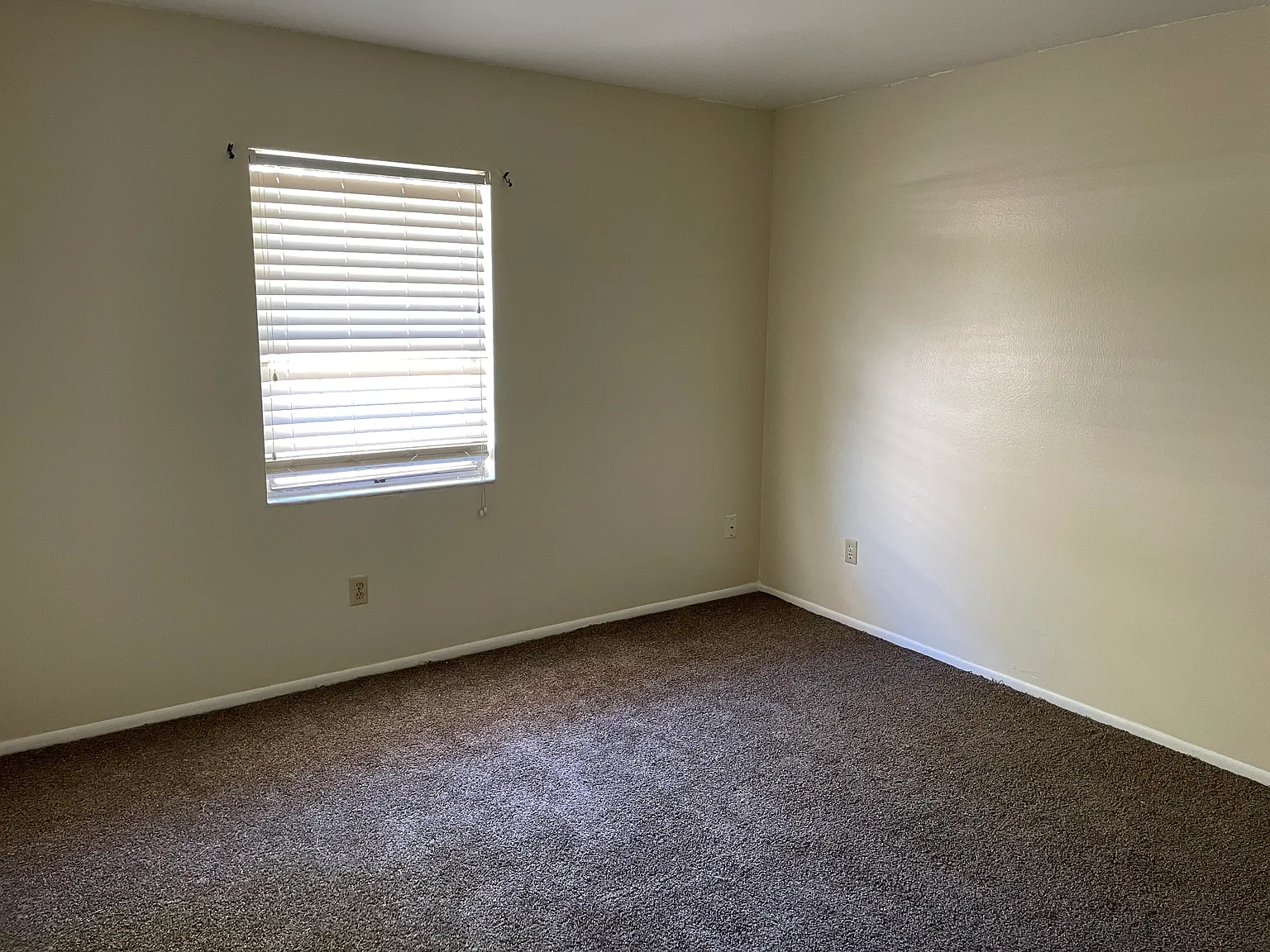 2 bed, 1036 sqft, $1,600 — Photo 4