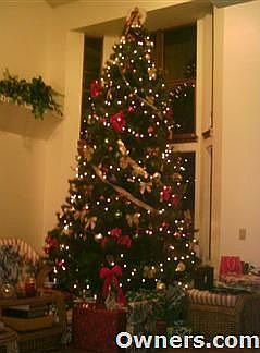 livingroom-15'vaulted ceiling