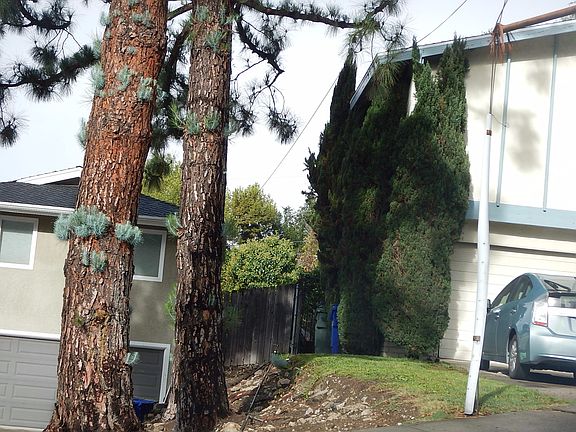 2nd image of 5601 Freeman Ave