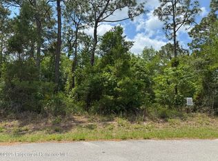 LOT 79 Waterbird Way LOT 79, Brooksville, FL 34613