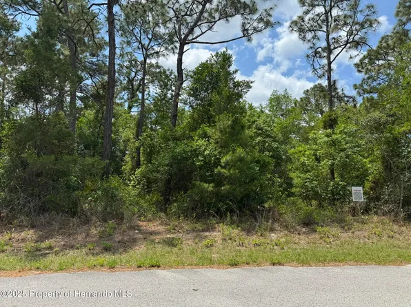 LOT 77 Waterbird Way Lot 77, Brooksville, FL 34613