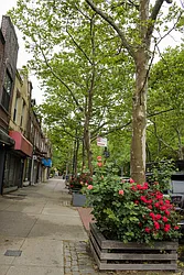 41-30 46th Street, #3D