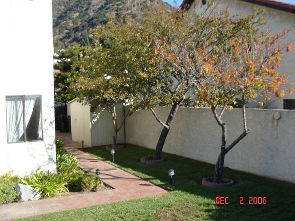 4th image of 2614 Willowglen Dr