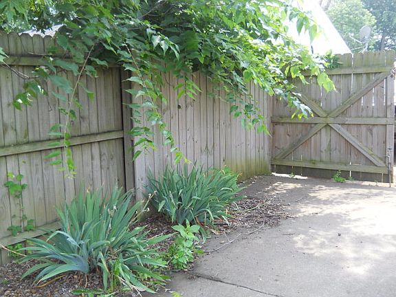 3rd image of 841 Gardenside Dr