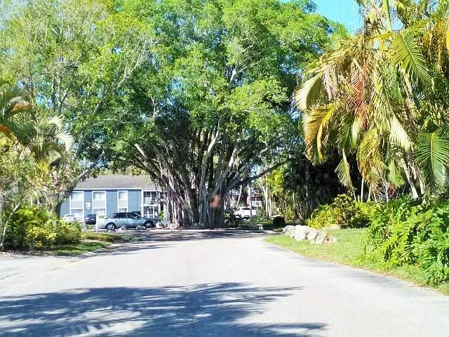 2 bed, 950 sqft, $1,295 — Photo 2