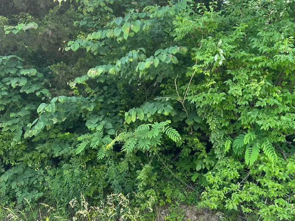 37-38 39 Melody Dr, New Haven, KY 40051