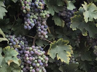 22767 N Johnson Rd, Clements, CA 95227