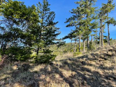 Indian Hills Dr, Gold Beach, OR, 97444