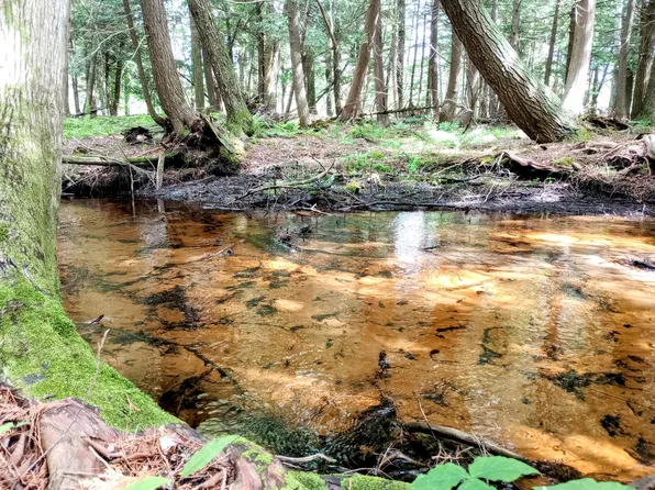 E Coombs Rd, Lake City, MI 49651