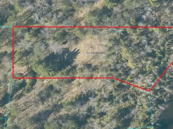 Snowbowl Rd, Houghton Lake, MI 48629