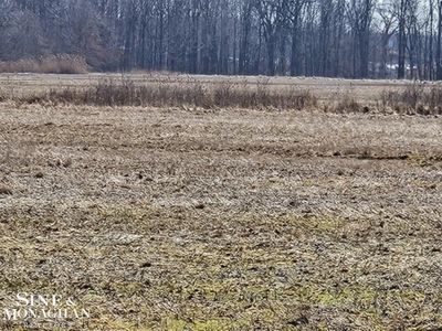 Springborn Rd, Casco, MI, 48064