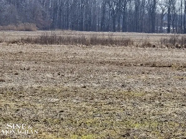 Springborn Rd, Casco, MI 48064