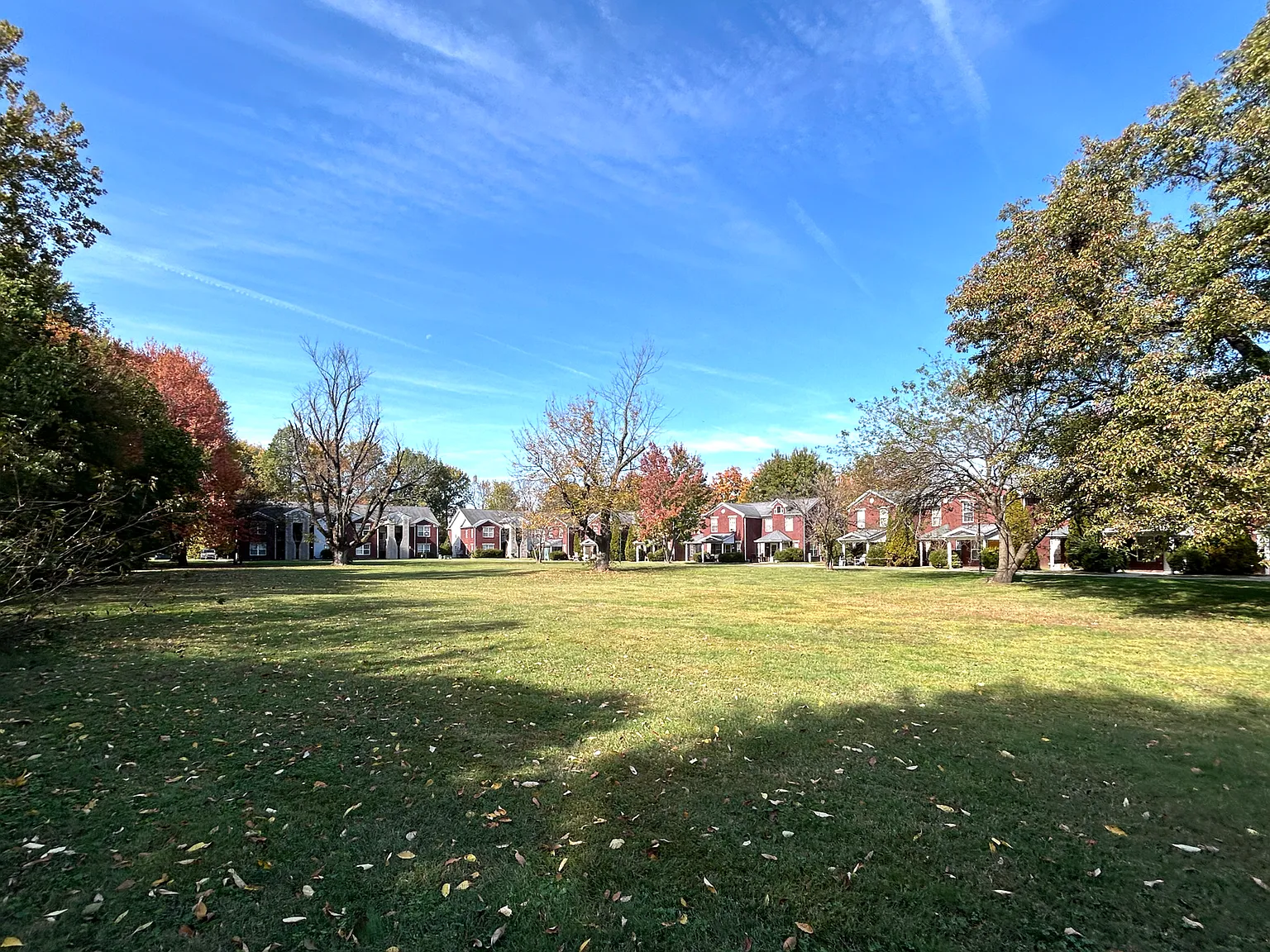 Nichols Meadows — Photo 3