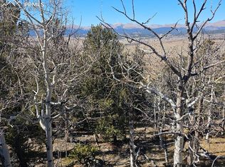 5585 Middle Fork Vis, Fairplay, CO 80440