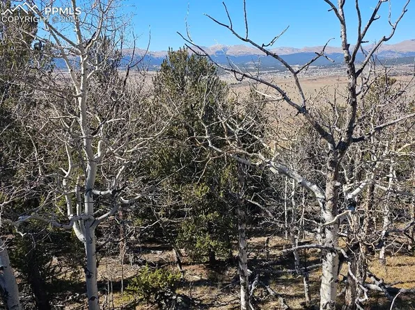 5585 Middle Fork Vis, Fairplay, CO 80440