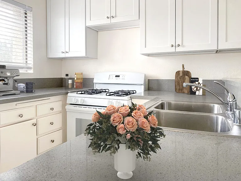 TERRA VISTA APARTMENT HOMES — Photo 13