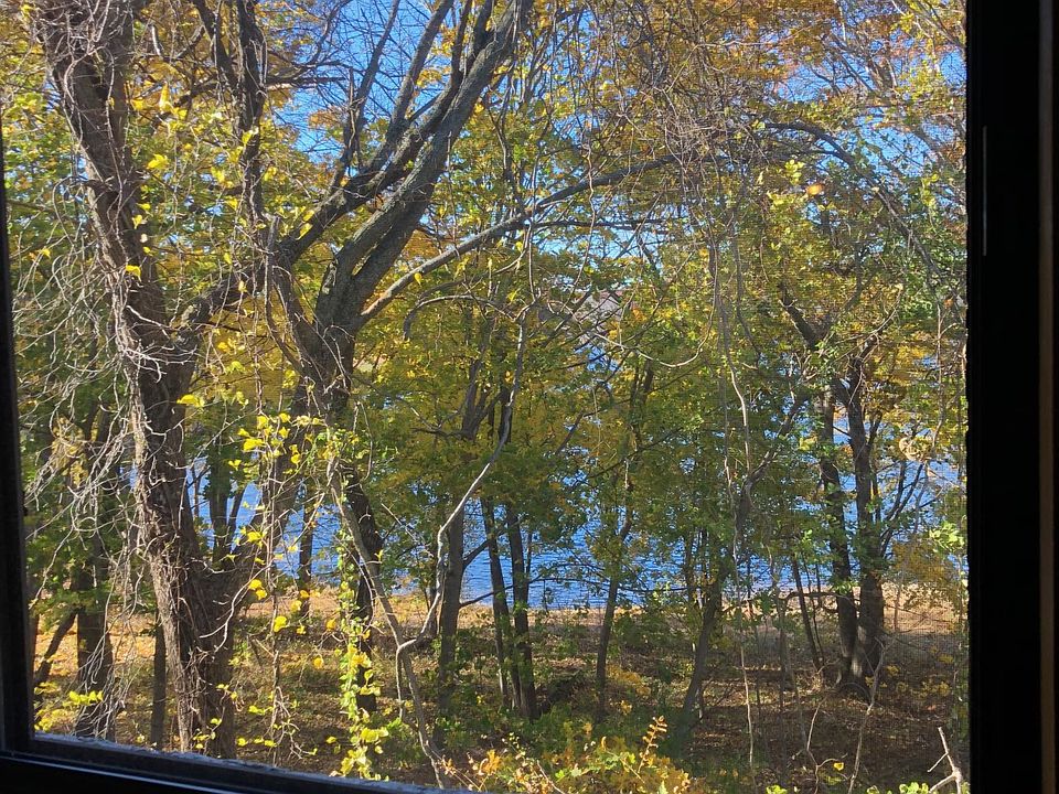 View from living room with Wenham Lake in the back.