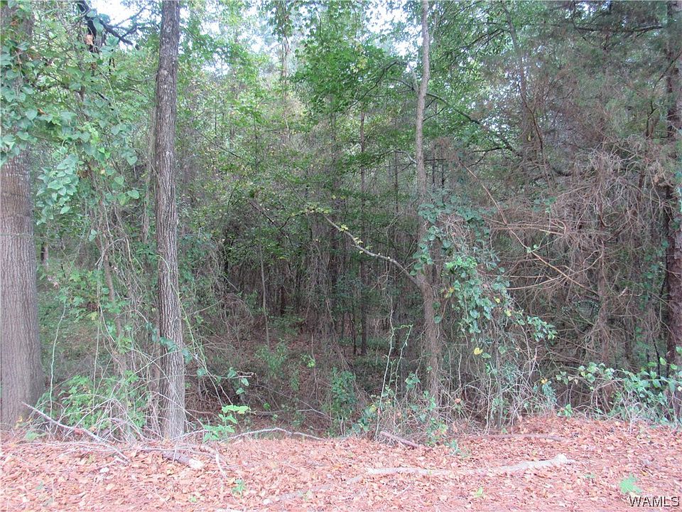2nd image of 0 Graceland Rd