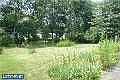 More View of Backyard