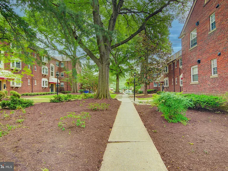2100 N Scott St #106 — Photo 24