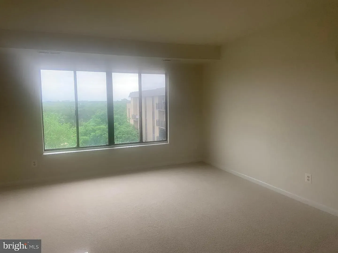 1 bed, 560 sqft, $1,850 — Photo 4