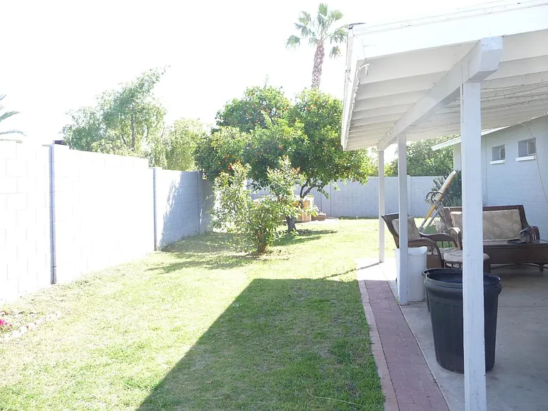 fenced back yard