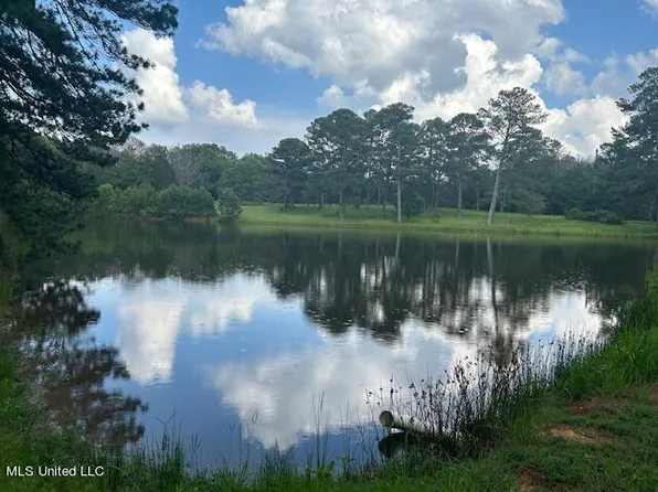 229 Twelve Oaks Trce, Canton, MS 39046