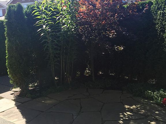 3rd image of 34619 SE Jeffs St