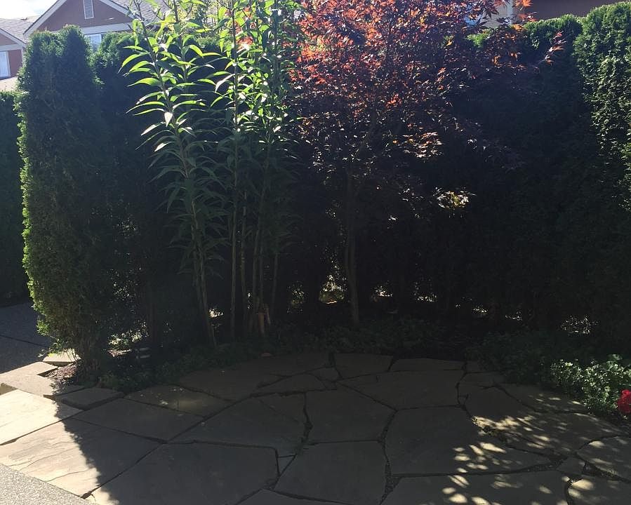 34619 SE Jeffs St, Snoqualmie, WA 98065 | Zillow