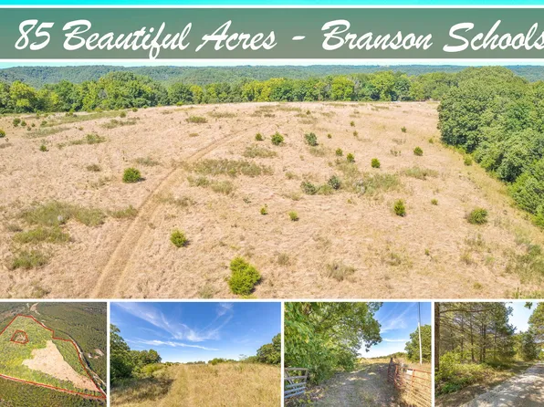 2524 Bear Creek Road, Walnut Shade, MO 65771