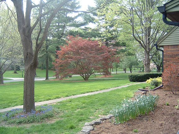 View S. on Englewood