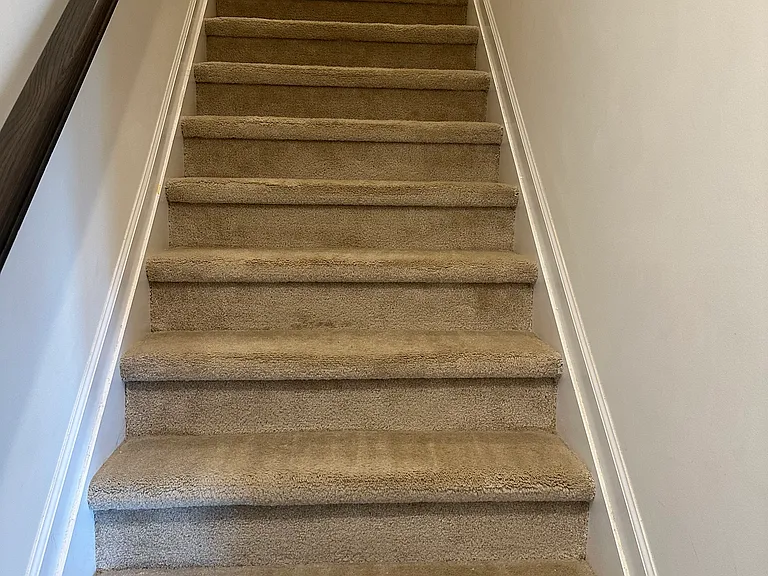 316 King Closer Dr — Photo 16