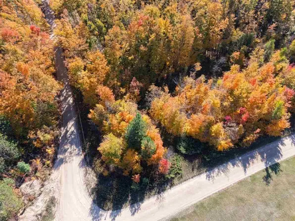 1197 Wildwood Trl, Vanderbilt, MI 49795