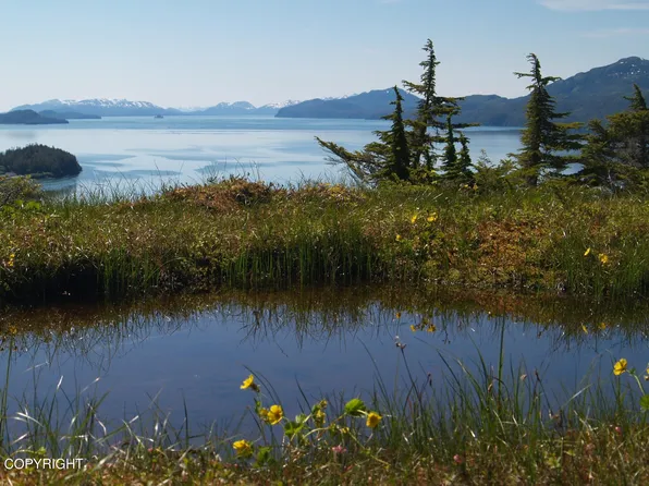 111 Cabin Ridge Rd, Cordova, AK 99574