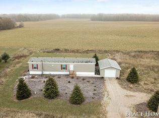 1121 Dildine Rd, Ionia, MI 48846
