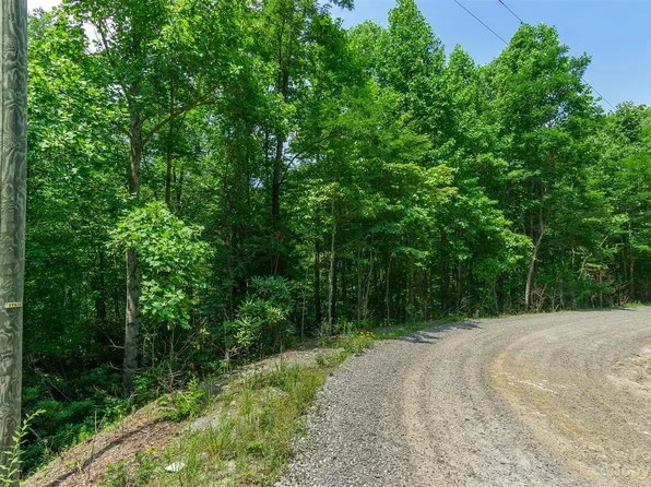 99999 Sand Branch Rd, Black Mountain, NC 28711