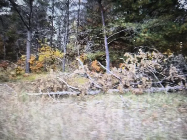 LOT 31 Northwood Dr, Grayling, MI 49738