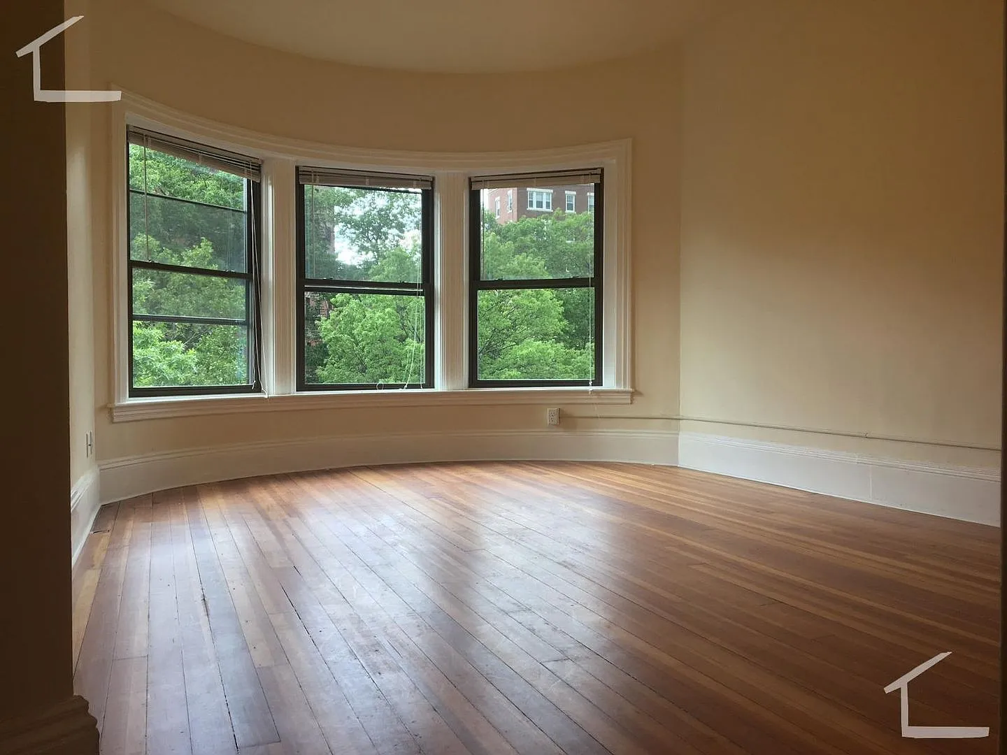 9/1 No Fee! Updated 2BR in Coolidge Corner — Photo 3