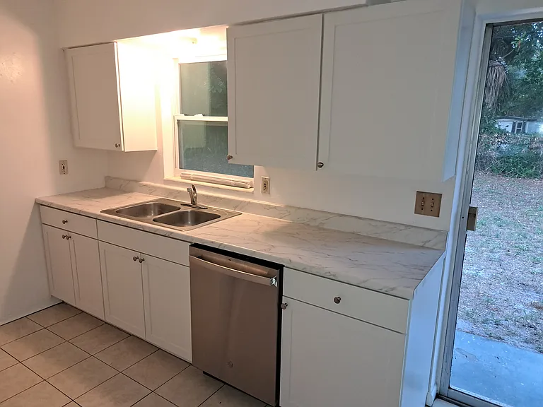 Kitchen Sink and Dishwasher