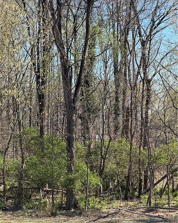 1st image of 0 Pine Woods Church Rd