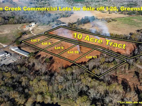 7 Town Creek Blvd, Greensboro, GA 30642