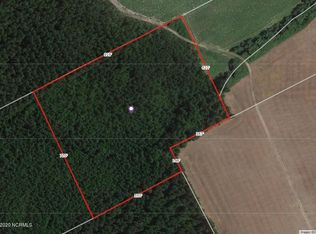 2 Chesnutt Rd TRACT 2, Turkey, NC 28393