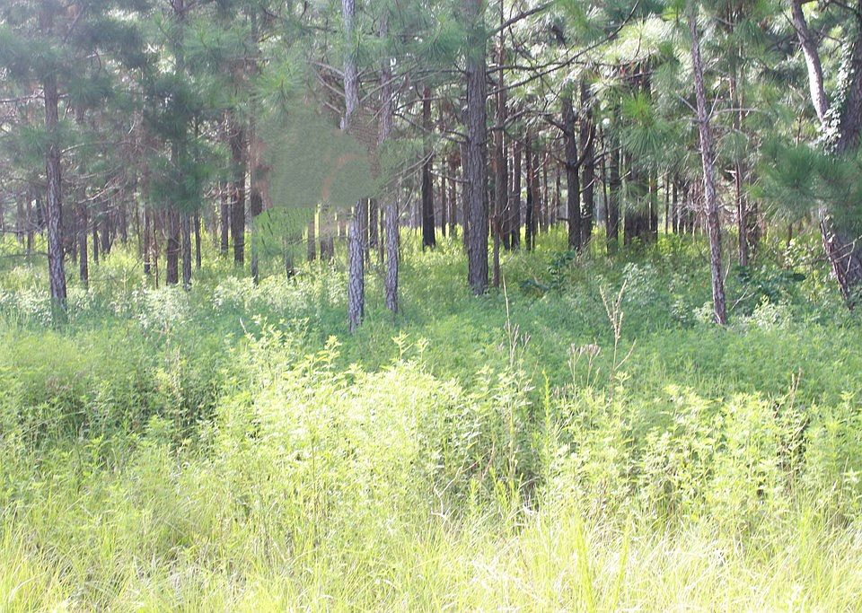 2nd image of 4874 E Hencart Rd