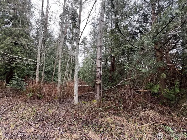 0 Lot 6 Rex Street, Point Roberts, WA 98281