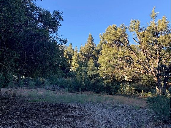3rd image of 15404 Live Oak Way