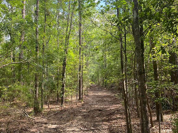 55/ACR E Texas Flat Rd, Kiln, MS 39556 | MLS #138439 | Zillow