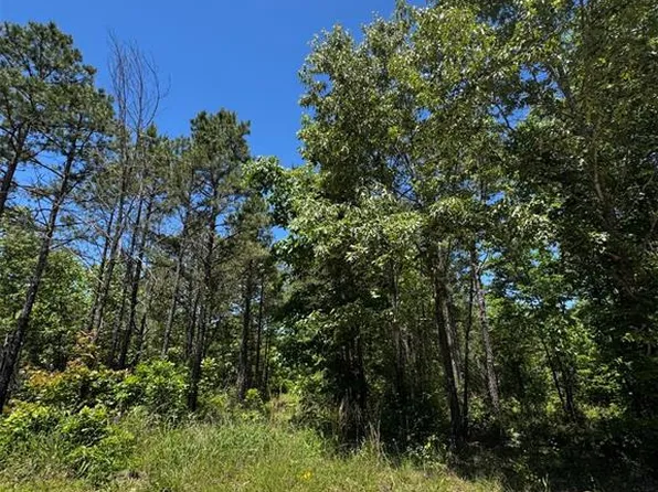 24 Ridge Rd Lot 24, Watson, OK 74963