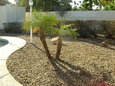 4th image of 2552 W Jacinto Cir